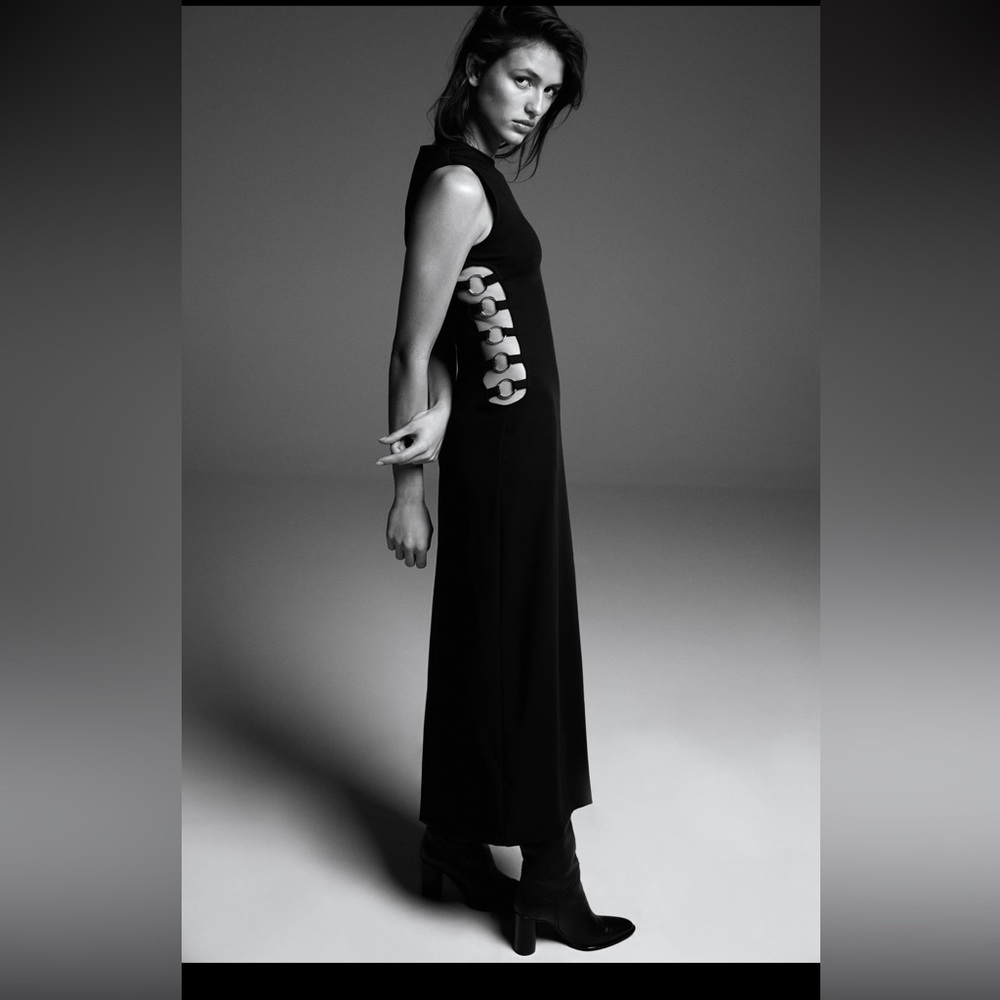 Zara Dress